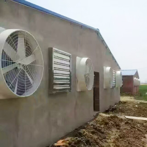 畜牧麻豆白虎B性爱AV